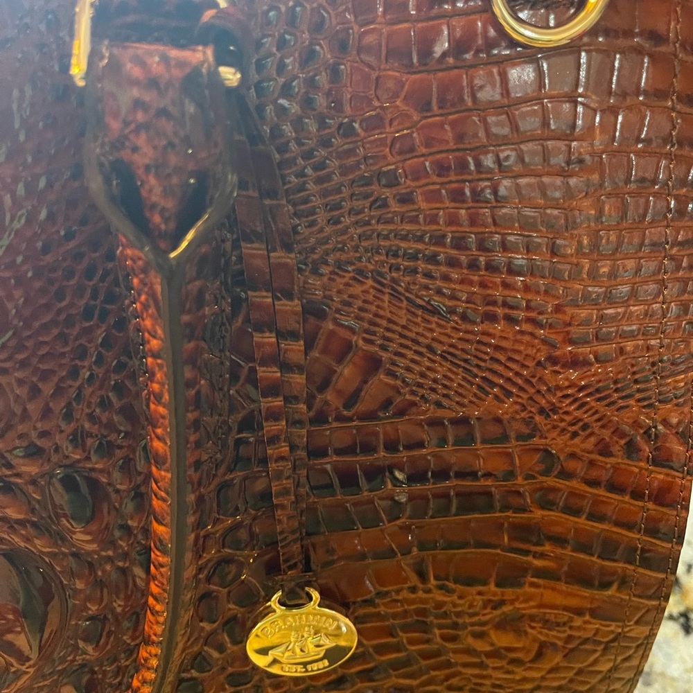 Brahmin Carry All - Picture 2 of 6